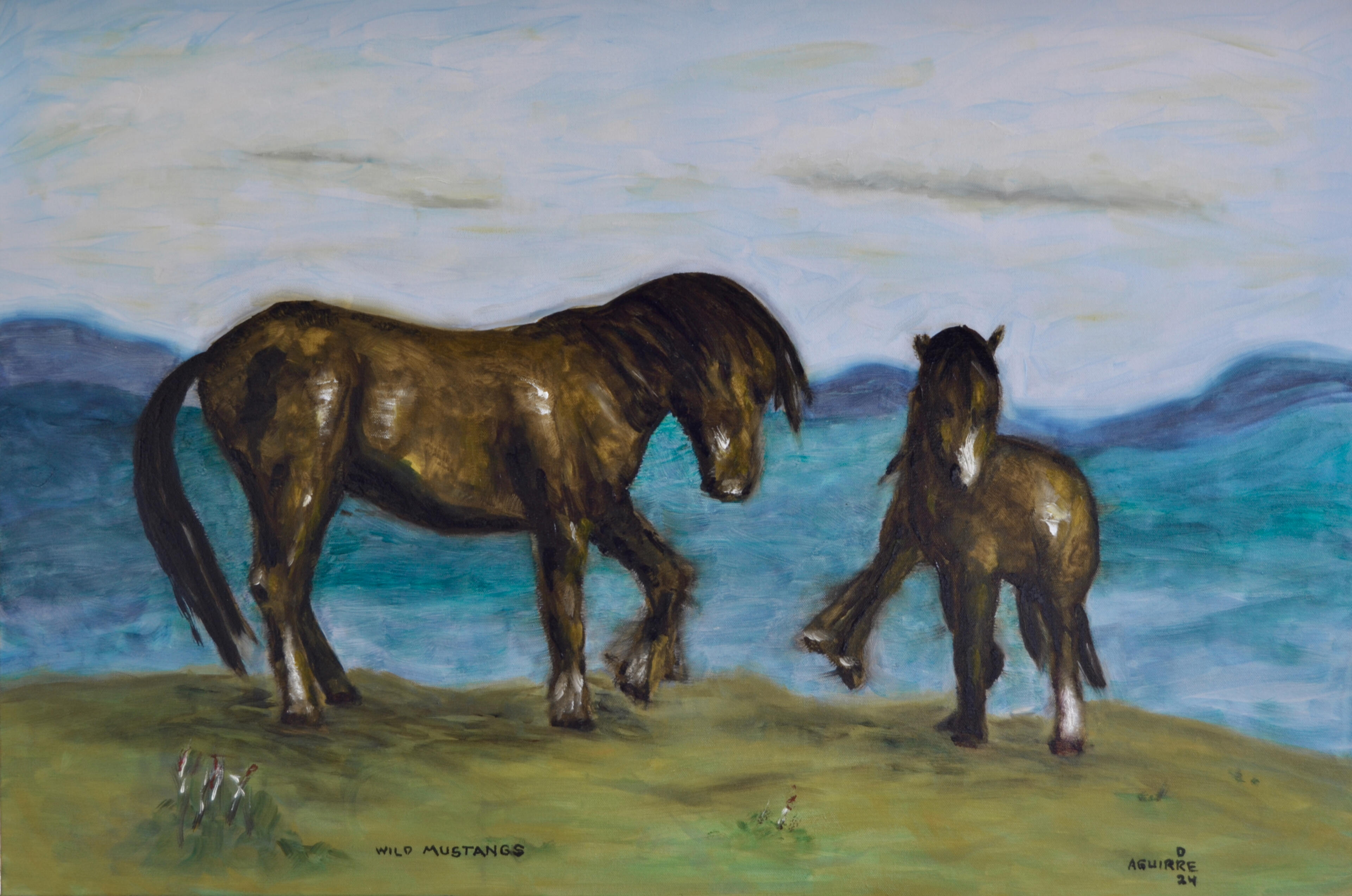 Wild Mustangs